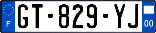 GT-829-YJ