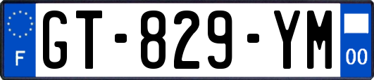 GT-829-YM