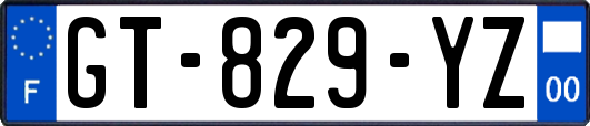 GT-829-YZ