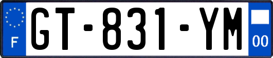 GT-831-YM