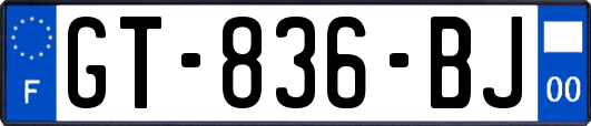 GT-836-BJ