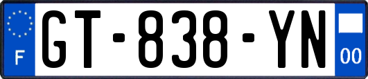 GT-838-YN