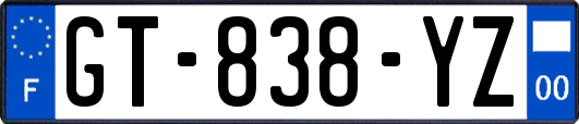 GT-838-YZ
