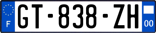 GT-838-ZH