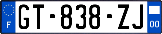 GT-838-ZJ