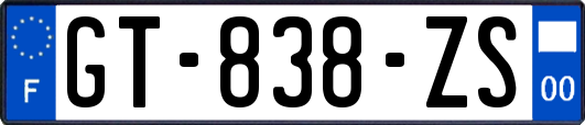 GT-838-ZS
