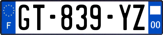GT-839-YZ