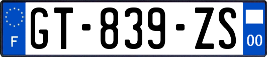 GT-839-ZS