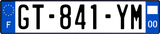 GT-841-YM