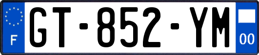 GT-852-YM
