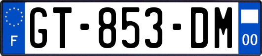 GT-853-DM