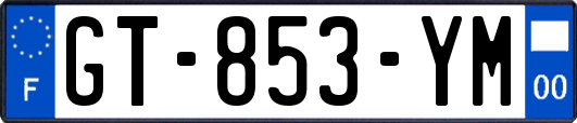 GT-853-YM