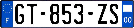 GT-853-ZS