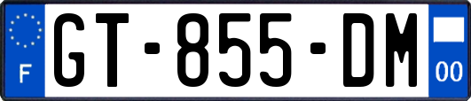 GT-855-DM