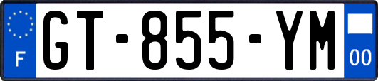 GT-855-YM