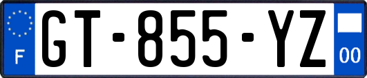 GT-855-YZ