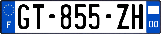 GT-855-ZH