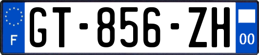 GT-856-ZH