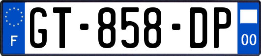 GT-858-DP