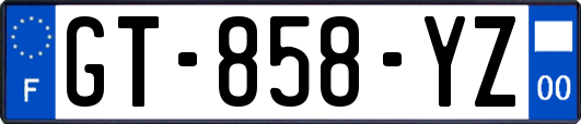 GT-858-YZ