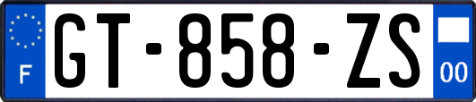 GT-858-ZS