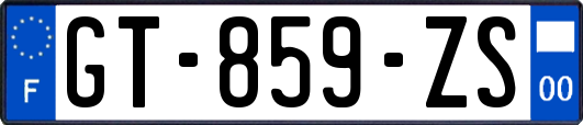 GT-859-ZS