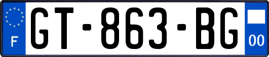 GT-863-BG