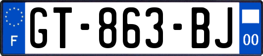 GT-863-BJ