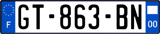 GT-863-BN