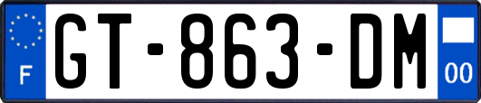 GT-863-DM