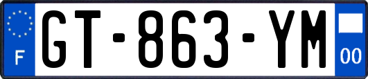 GT-863-YM