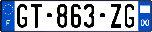 GT-863-ZG