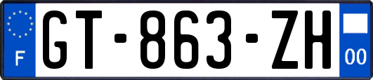 GT-863-ZH