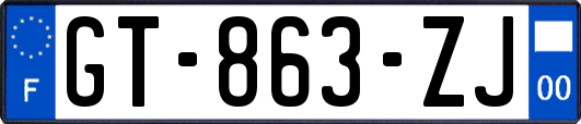 GT-863-ZJ