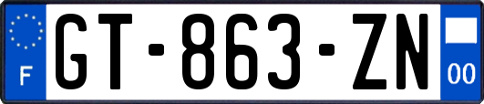 GT-863-ZN