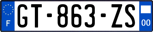 GT-863-ZS