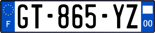 GT-865-YZ