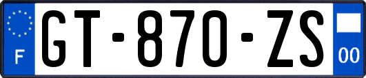 GT-870-ZS