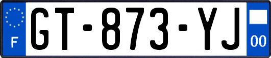GT-873-YJ