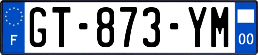 GT-873-YM