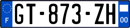 GT-873-ZH