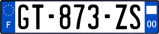 GT-873-ZS