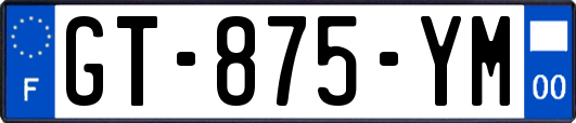 GT-875-YM