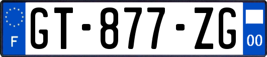 GT-877-ZG