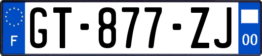 GT-877-ZJ