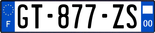 GT-877-ZS