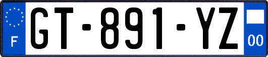 GT-891-YZ