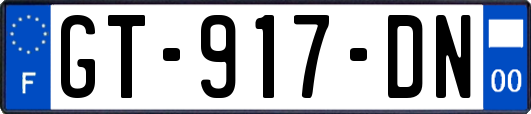 GT-917-DN