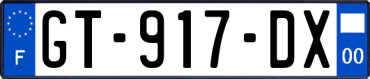 GT-917-DX