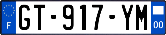 GT-917-YM